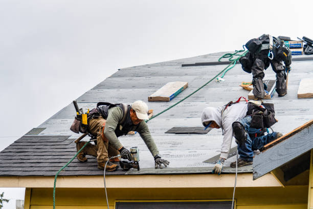 Professional Roofing technician working in East Otis, MA